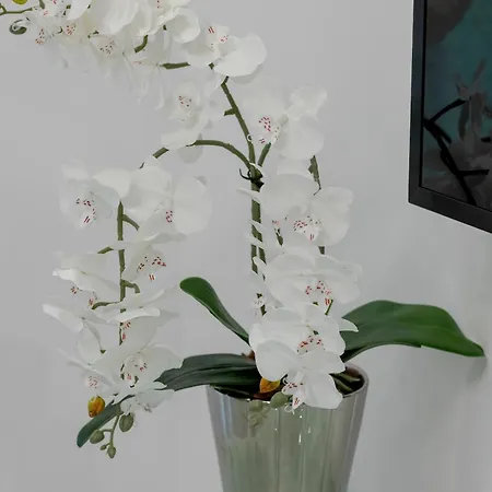 Modern With Private Garden By Renters Prestige